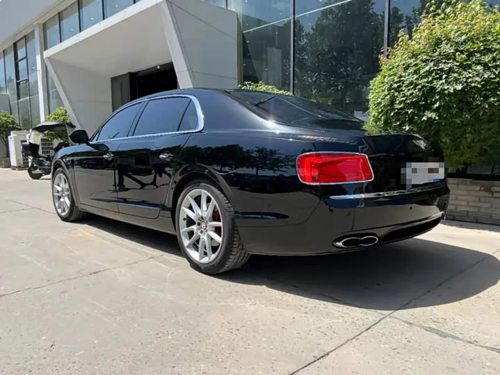 Bentley galloping