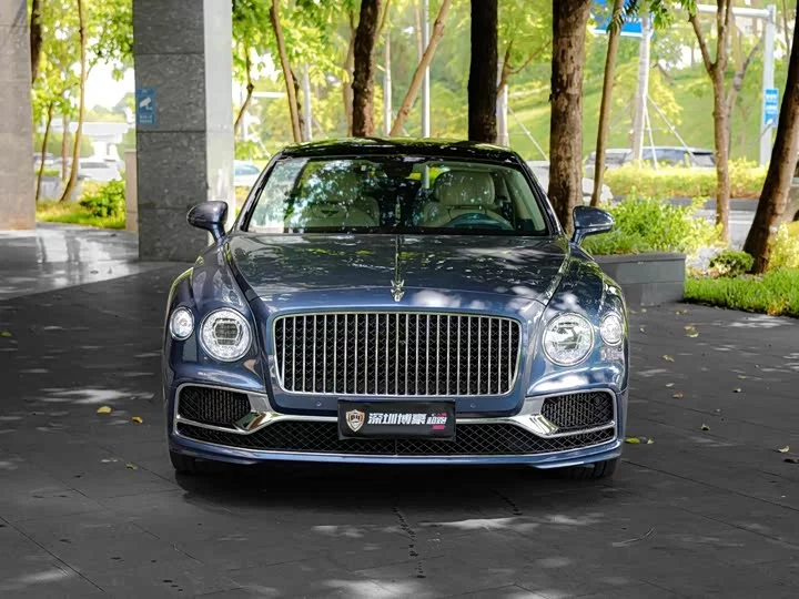 Bentley galloping