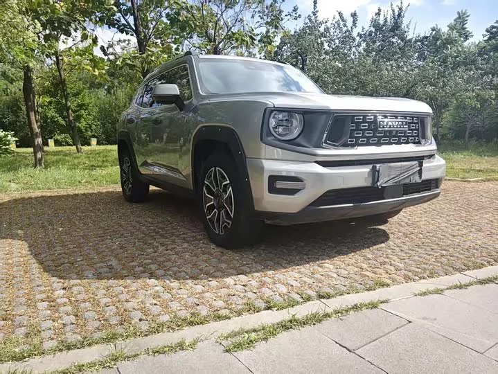Haval Big Dog PLUS New Energy