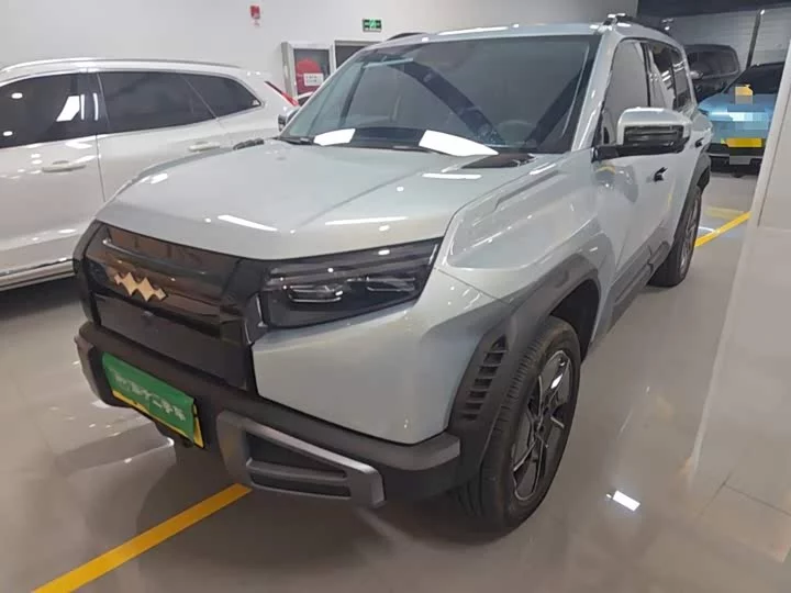 BYD Leopard Titanium 3