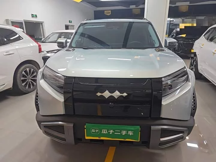 BYD Leopard Titanium 3