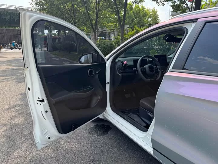 BYD e2