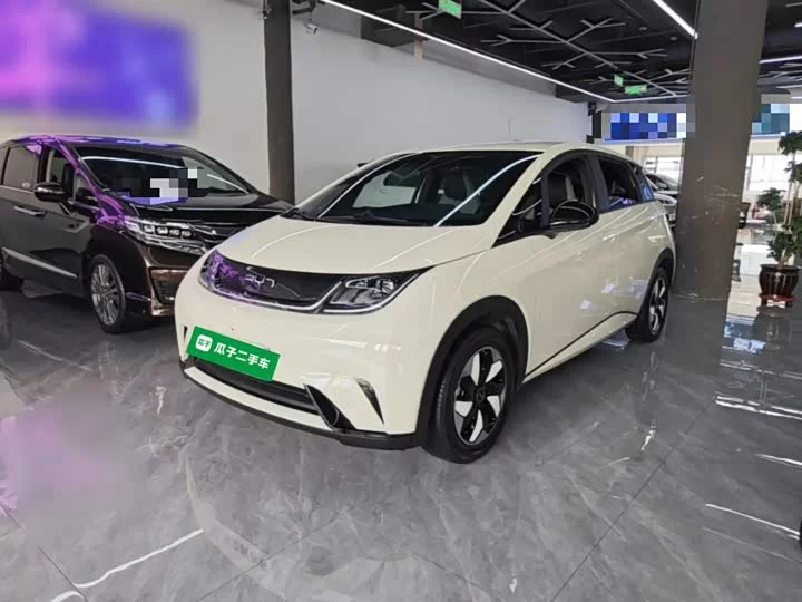BYD dolphin