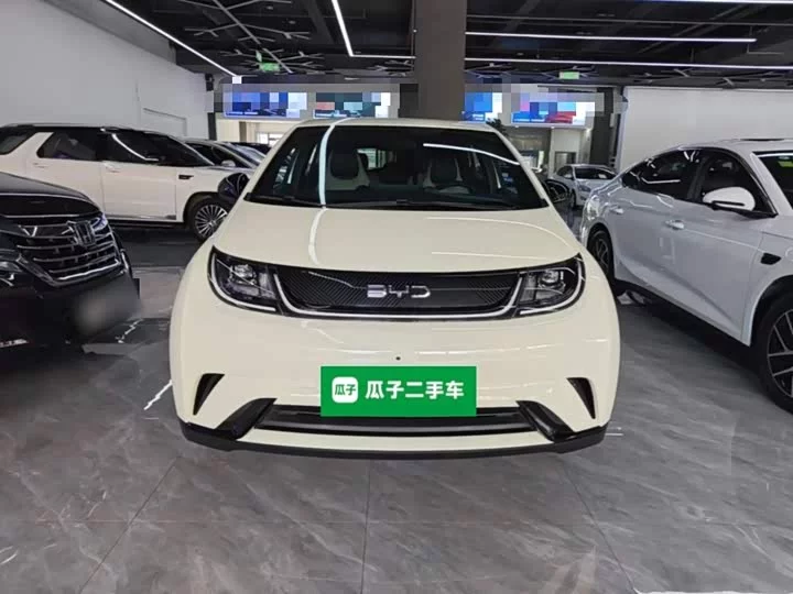 BYD dolphin