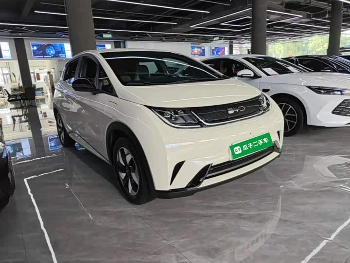 BYD dolphin