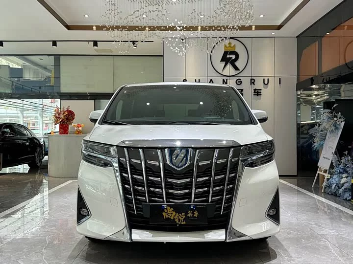 Toyota Elfa
