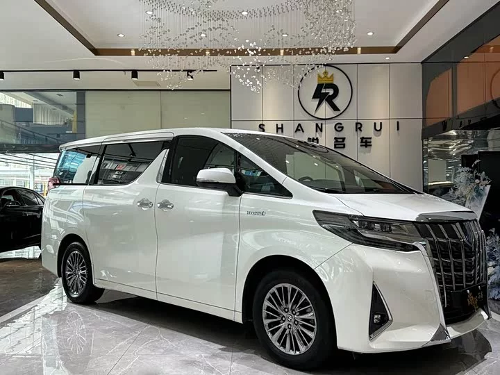 Toyota Elfa