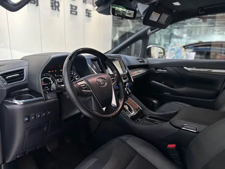 Toyota Elfa