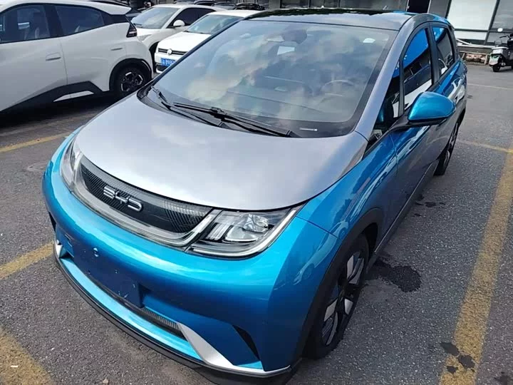 BYD dolphin