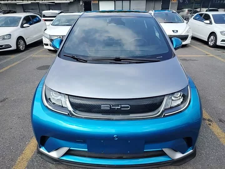 BYD dolphin
