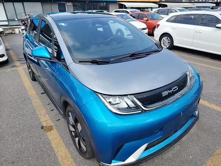 BYD dolphin