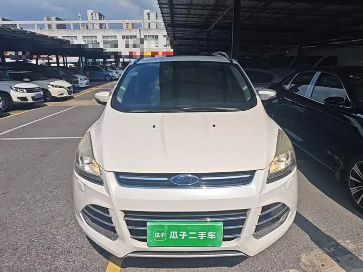 Ford wing tiger