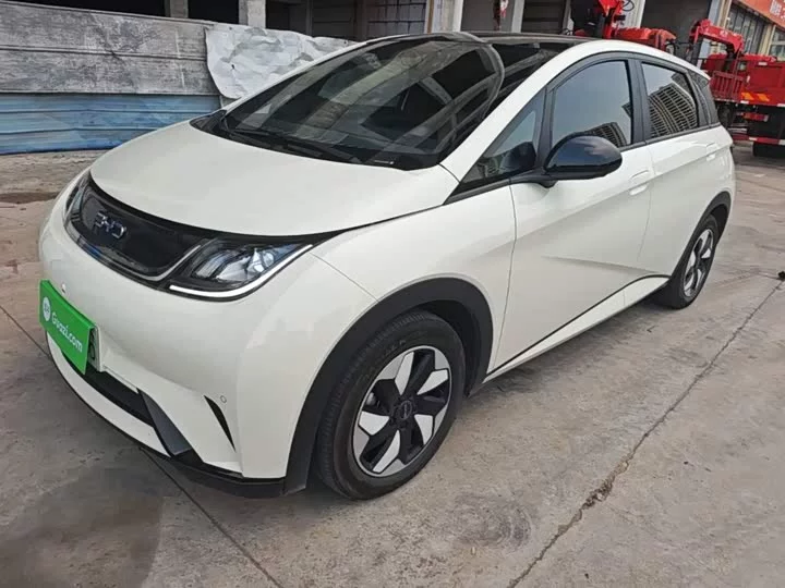 BYD dolphin