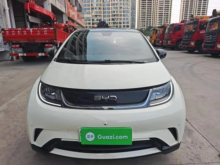 BYD dolphin
