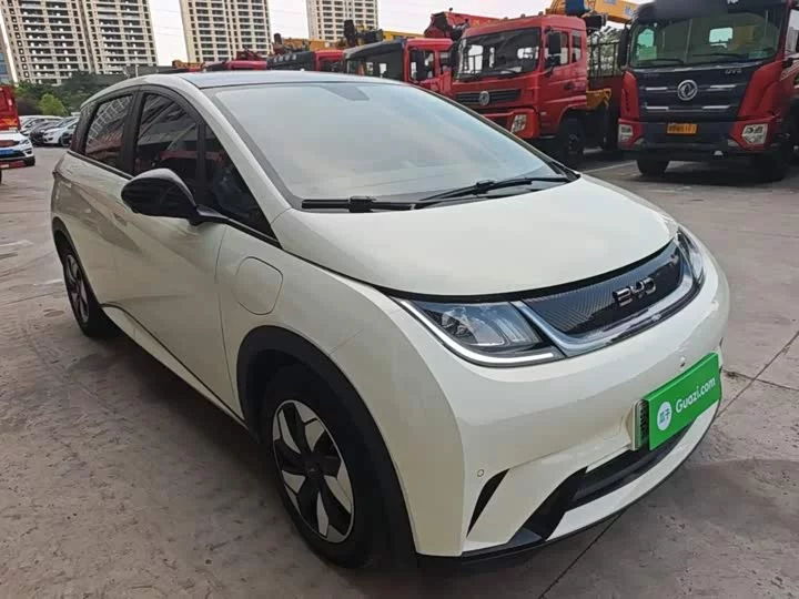 BYD dolphin
