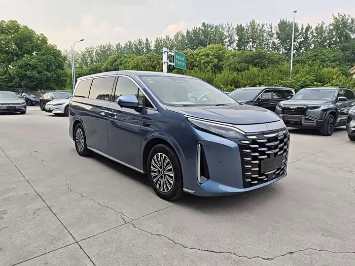 BYD summer