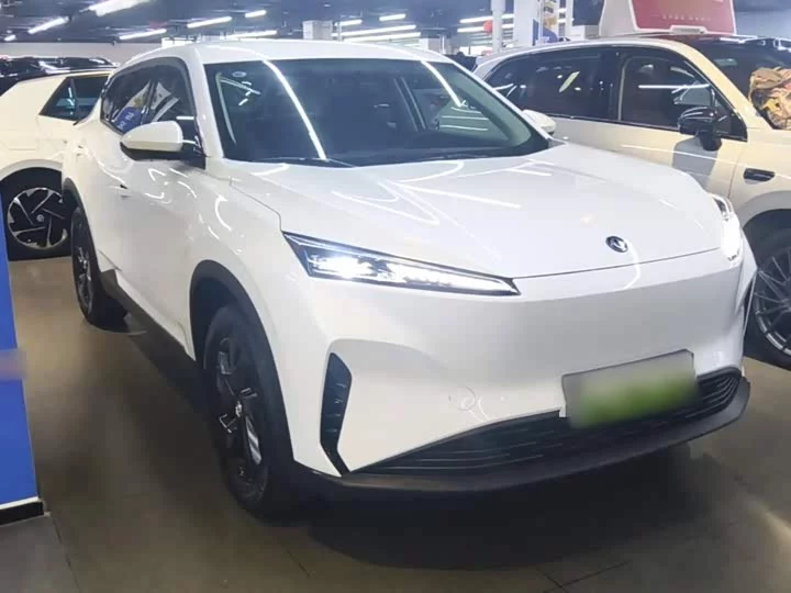 Dongfeng SKY EV01