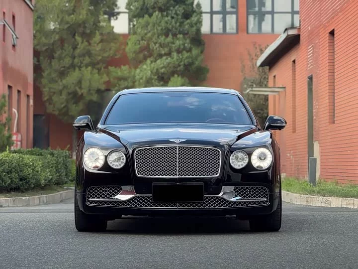 Bentley galloping