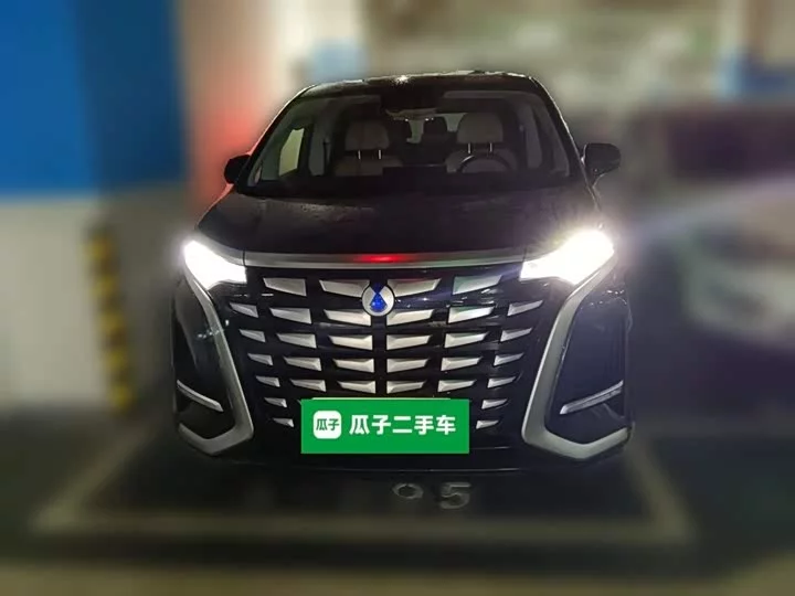 Denza D9