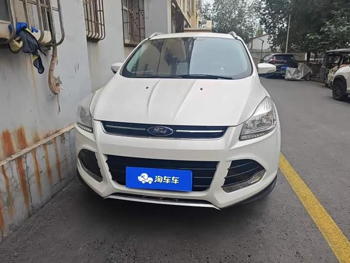 Ford wing tiger