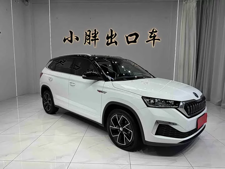 Skoda Comek