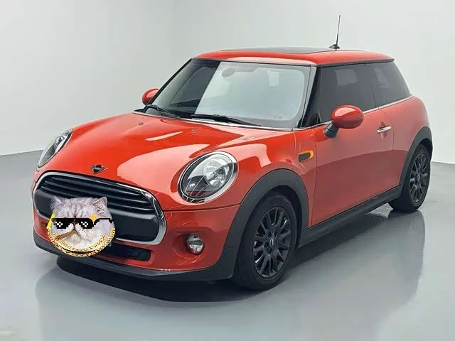 MINI 