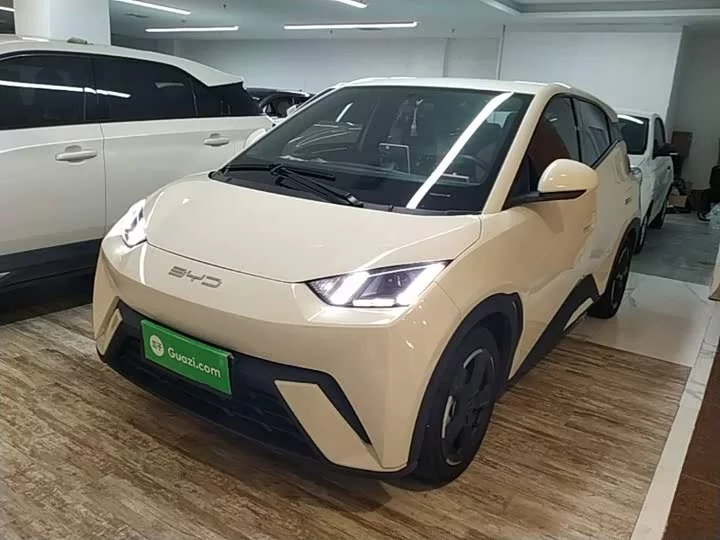BYD seagull