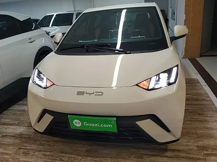 BYD seagull