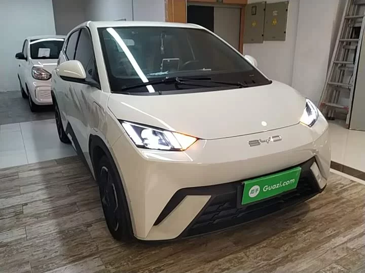 BYD seagull