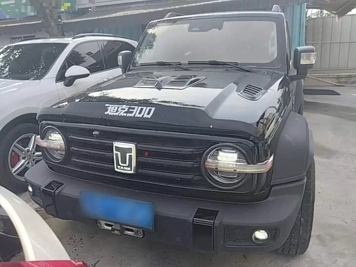 tank 300