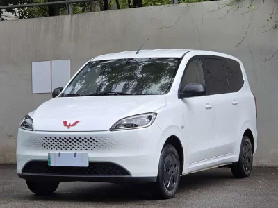 Wuling Hongguang New Energy