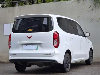 Wuling Hongguang New Energy