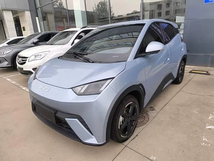 BYD seagull