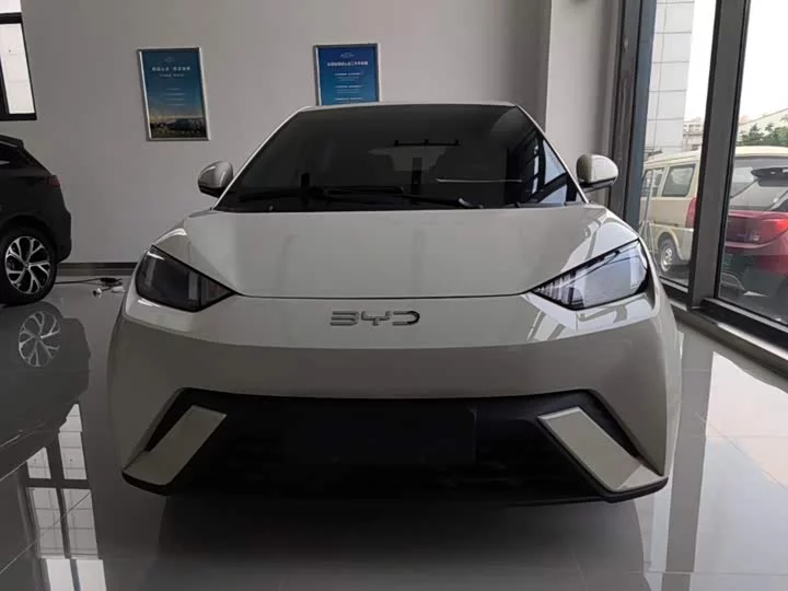 BYD seagull
