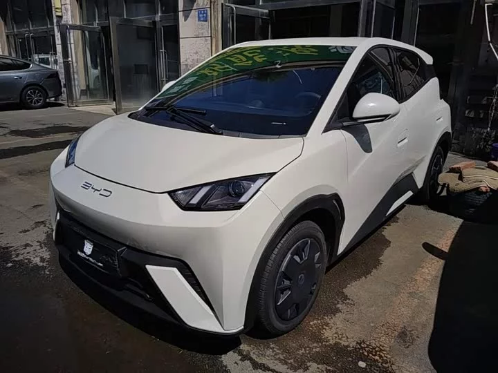 BYD seagull