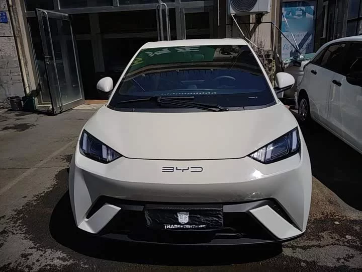 BYD seagull