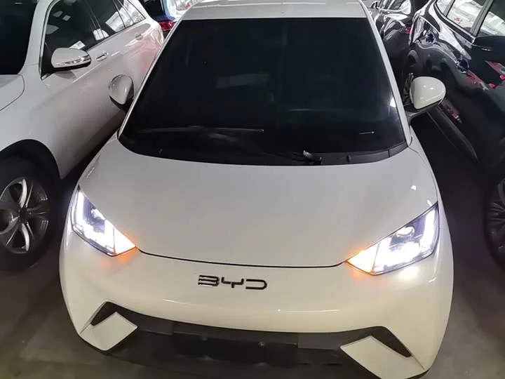 BYD seagull