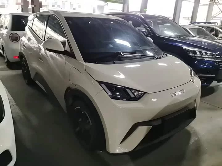BYD seagull