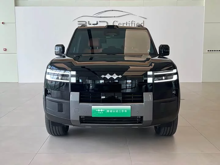 BYD Leopard Titanium 7