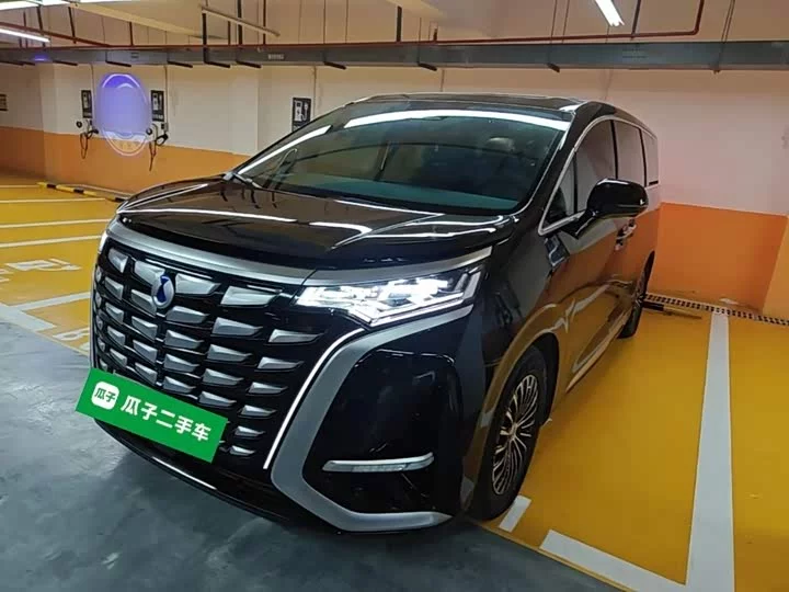 Denza D9