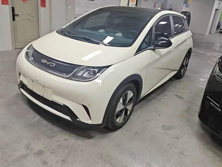 BYD dolphin