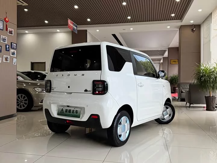 Geely panda