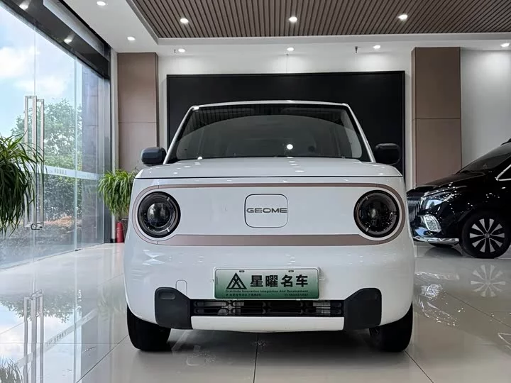 Geely panda