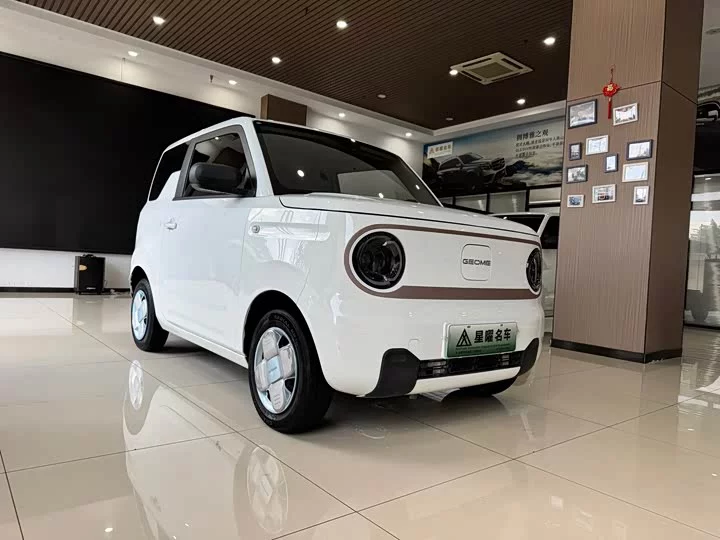 Geely panda
