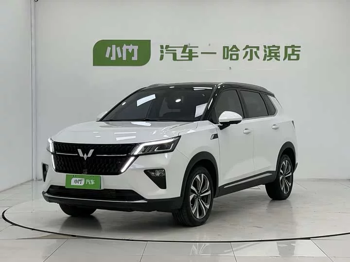 Wuling Star