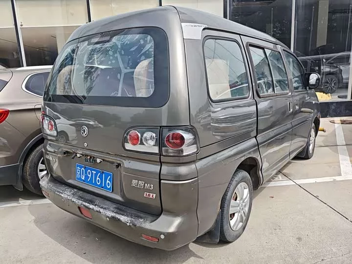 Forthing Lingzhi