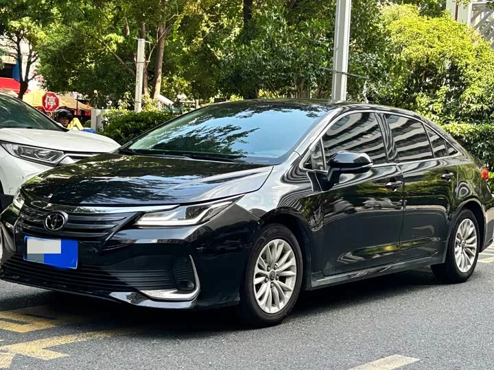 Toyota Asiatic lion