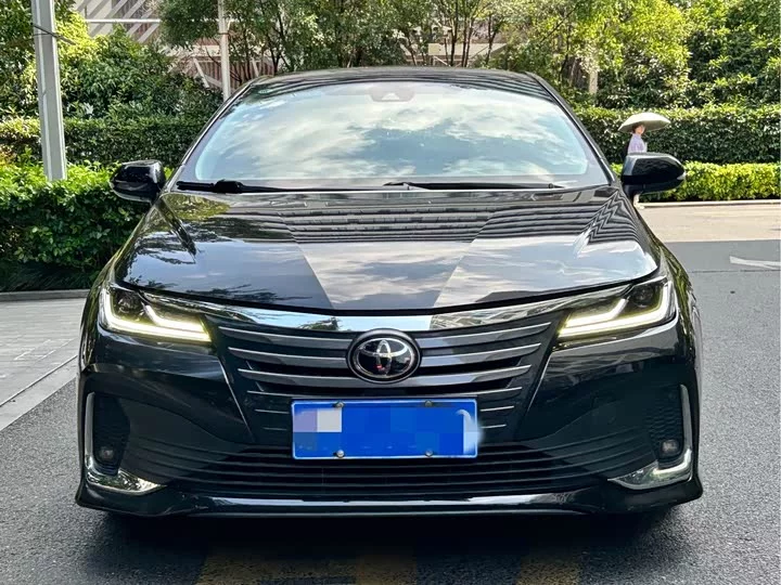 Toyota Asiatic lion