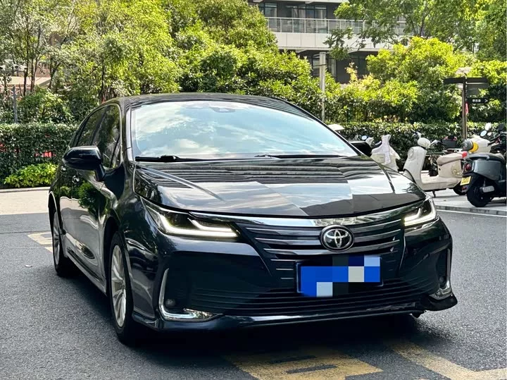 Toyota Asiatic lion