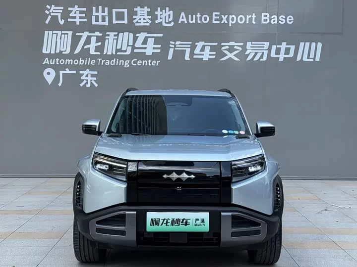BYD Leopard Titanium 3